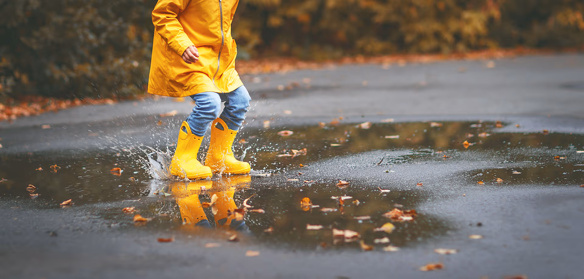 Child wearing yellow raincoat and yellow rain boots jumping in a puddle on an autumn day.