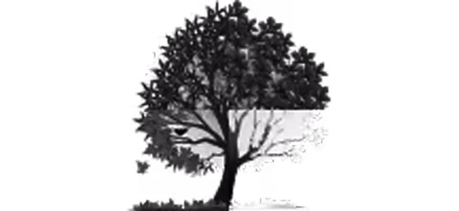 Cim Securities logo