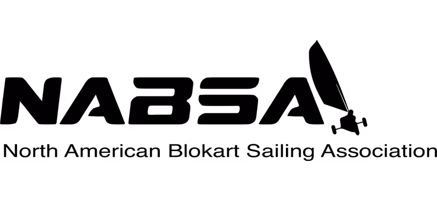 Nabsa logo